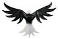 Preview: höhenverstellbarer Orchideenstab, Weißkopfseeadler